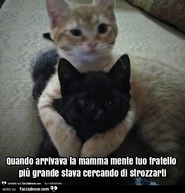 Quando arrivava la mamma mente tuo fratello più grande stava cercando di strozzarti