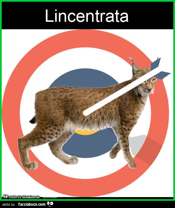 Lincentrata