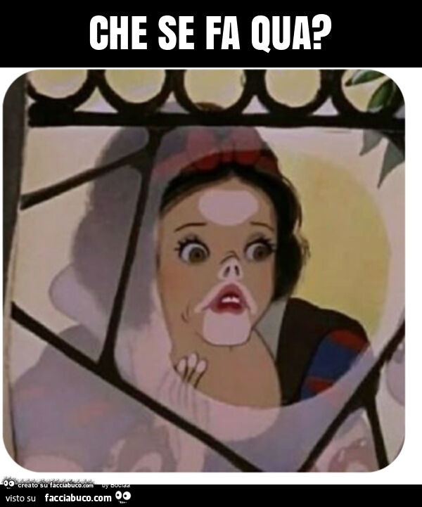 Che se fa qua?