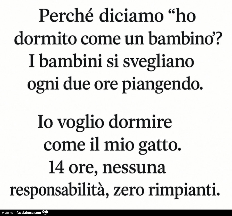 Perché diciamo ho dormito come un bambino? I bambini si svegliano ogni due ore piangendo. Io voglio dormire come il mio gatto. 14 ore, nessuna responsabilità, zero rimpianti