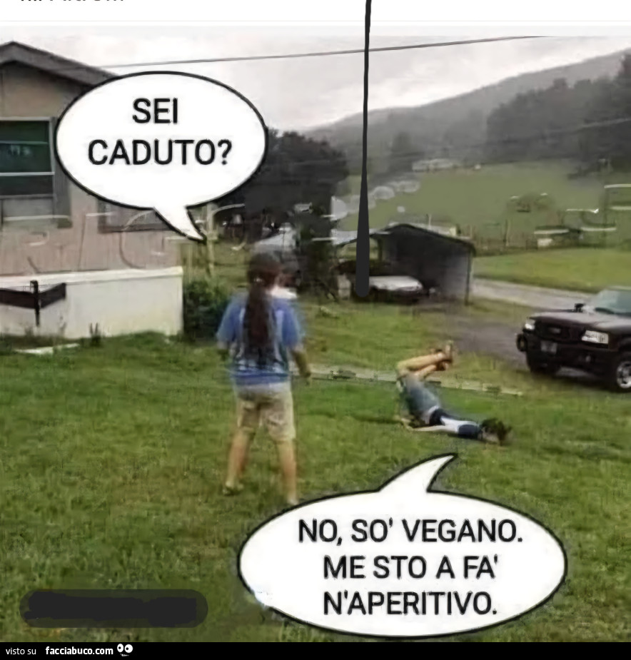 Vaccata