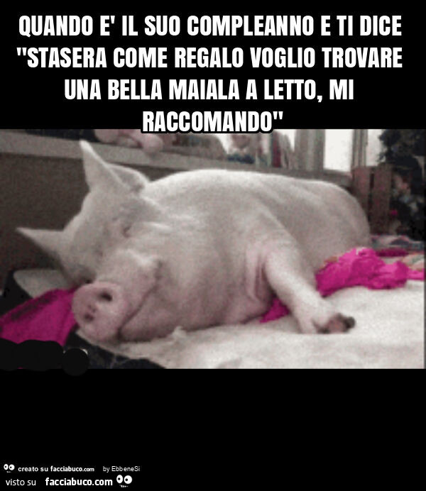 Quando è il suo compleanno e ti dice "stasera come regalo voglio trovare una bella maiala a letto, mi raccomando"