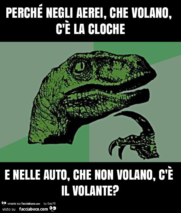 Perché negli aerei, che volano, c'è la cloche e nelle auto, che non volano, c'è il volante?