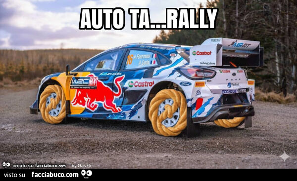 Auto ta… rally