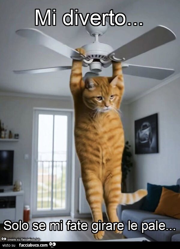 Mi diverto&hellip; solo se mi fate girare le pale