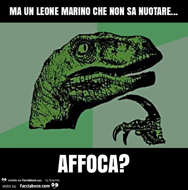 Ma un leone marino che non sa nuotare&hellip; affoca?