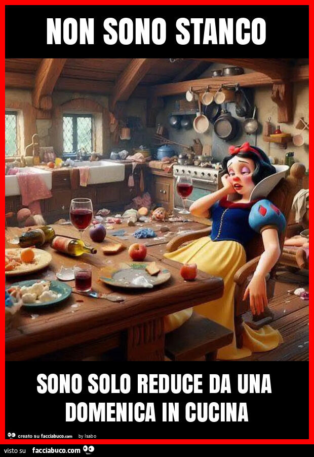 Non sono stanco sono solo reduce da una domenica in cucina