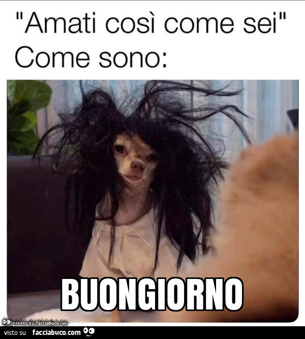 Buongiorno