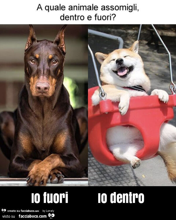 Io fuori io dentro