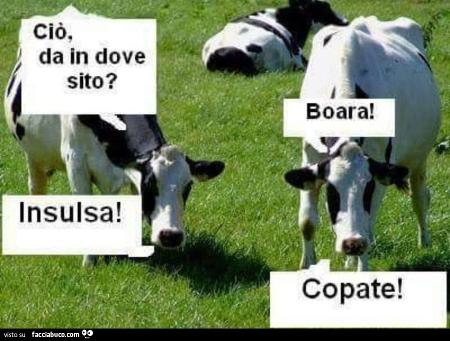 Dialetto veneto