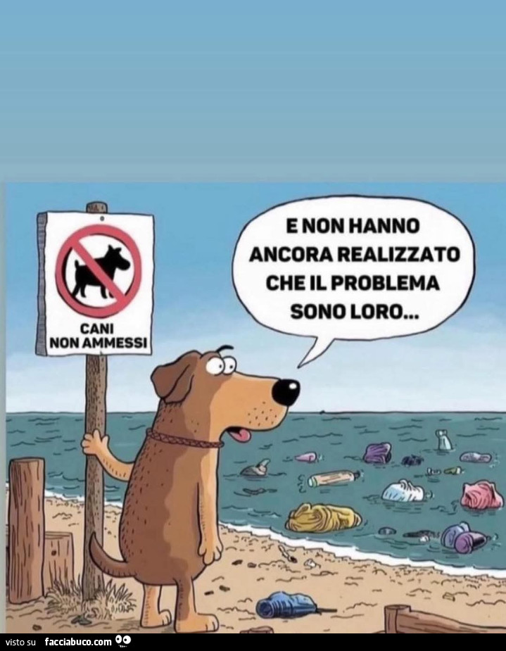 Uomo cani ambiente