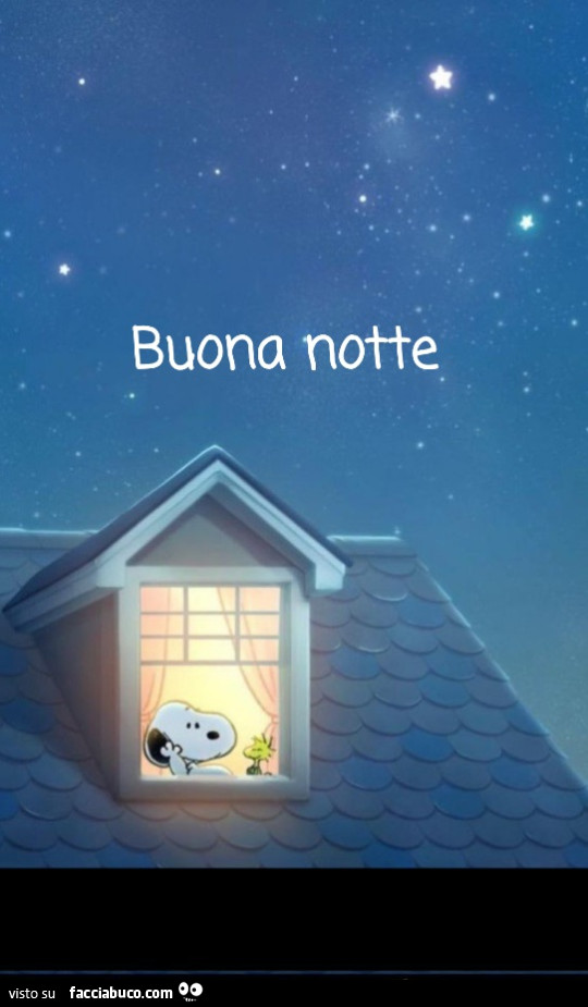 Buona notte