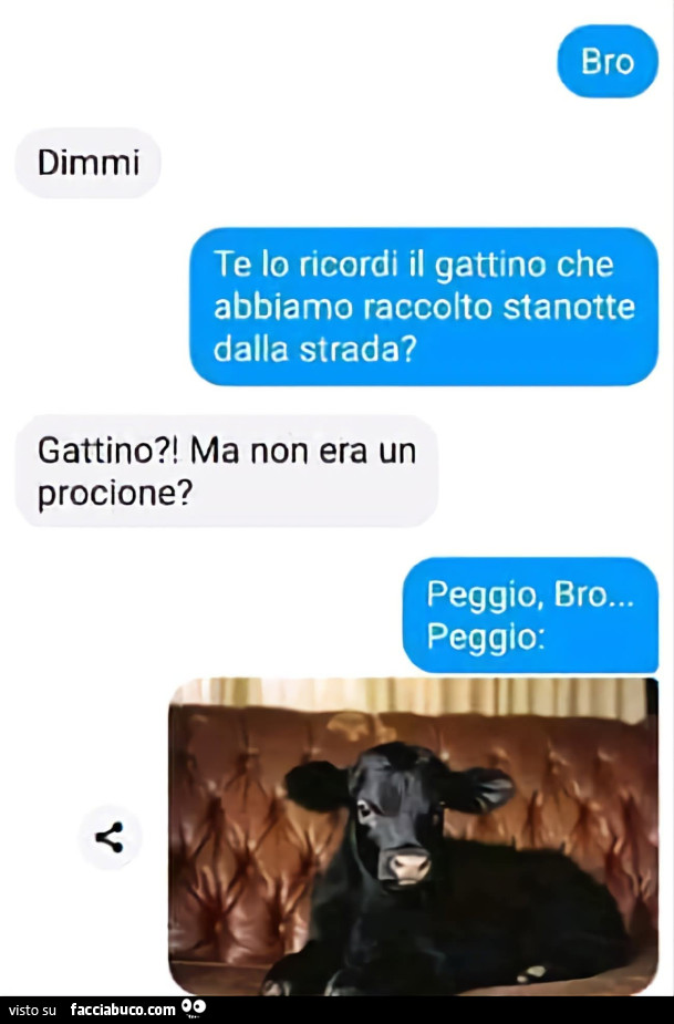 Vaccata