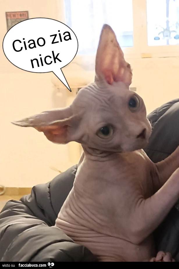 Vaccata