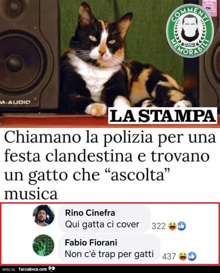 Vaccata