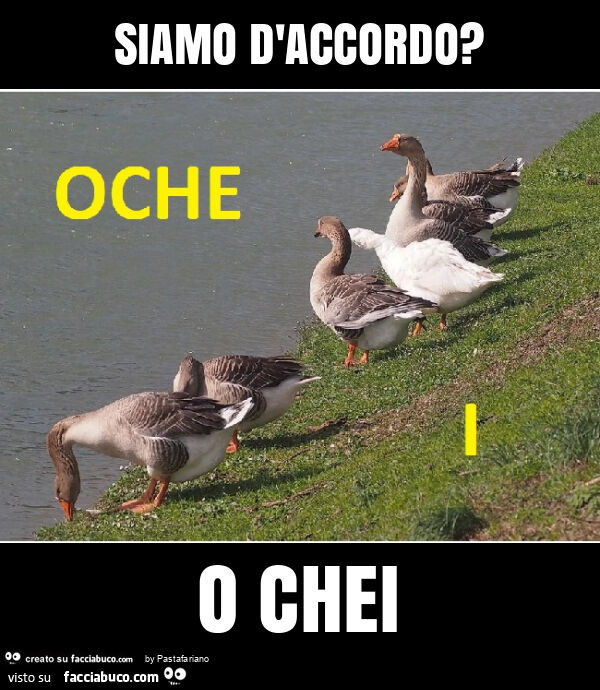 Siamo d'accordo? O chei