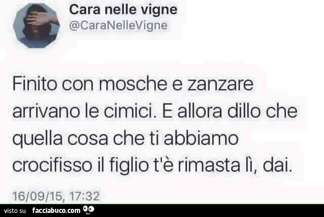 Finito con mosche e zanzare arrivano le cimici. E allora dillo che quella cosa che ti abbiamo crocifisso il figlio t'รจ rimasta lรฌ, dai