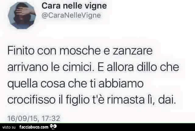 Finito con mosche e zanzare arrivano le cimici. E allora dillo che quella cosa che ti abbiamo crocifisso il figlio t'è rimasta lì, dai