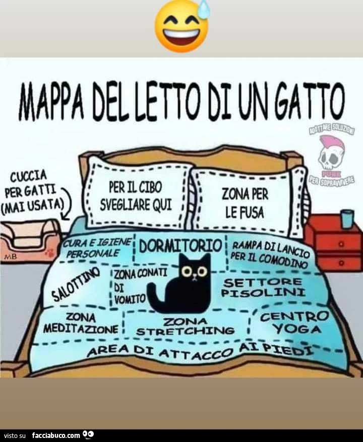 Vaccata