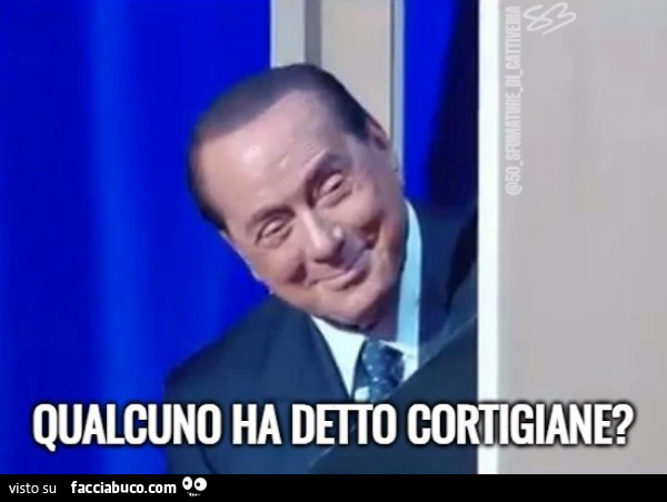 Qualcuno ha detto cortigiane?
