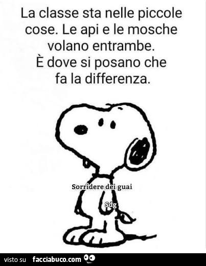 La classe sta nelle piccole cose. Le api e le mosche volano entrambe. È Dove si posano che fa la differenza