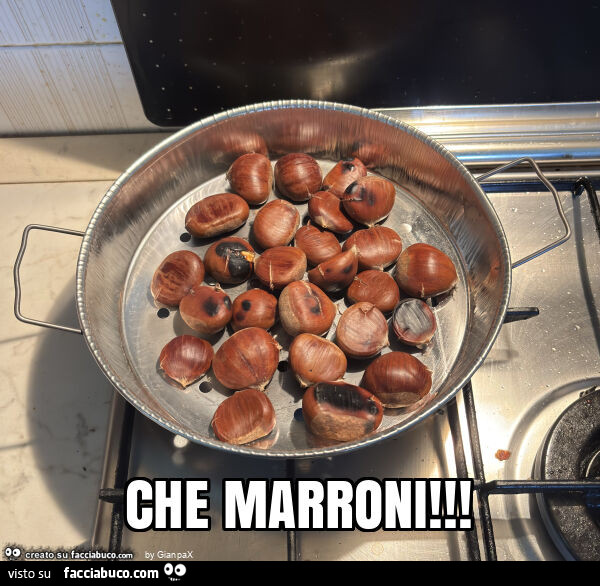 Che marroni