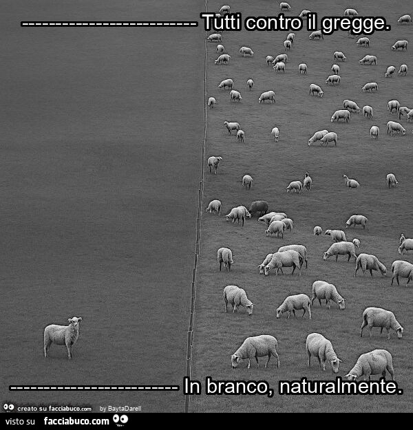 Tutti contro il gregge. In branco, naturalmente. Foto di Valeri Elerdashvili