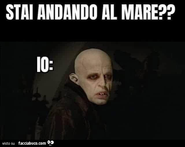 Stai andando al mare? Io