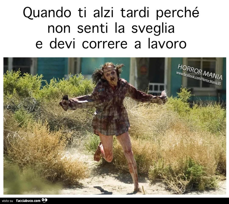 Vaccata