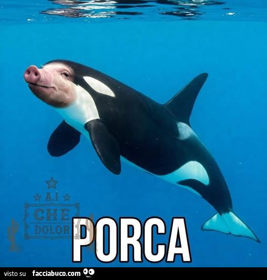 Porca