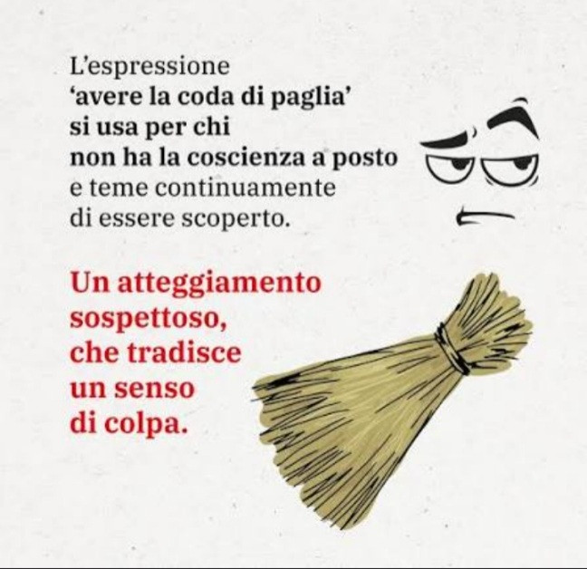 L'espressione avere la coda di paglià si usa per chi non ha la coscienza a posto e teme continuamente di essere scoperto. Un atteggiamento sospettoso, che tradisce un senso di colpa
