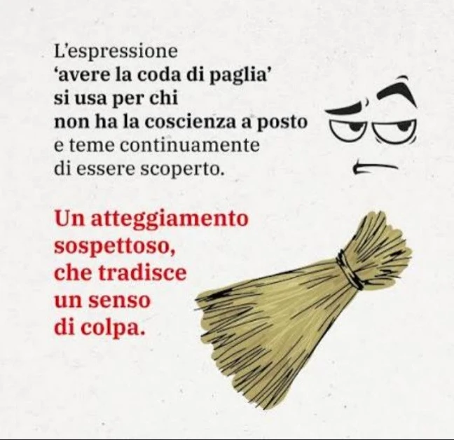 L'espressione avere la coda di paglià si usa per chi non ha la coscienza a posto e teme continuamente di essere scoperto. Un atteggiamento sospettoso, che tradisce un senso di colpa
