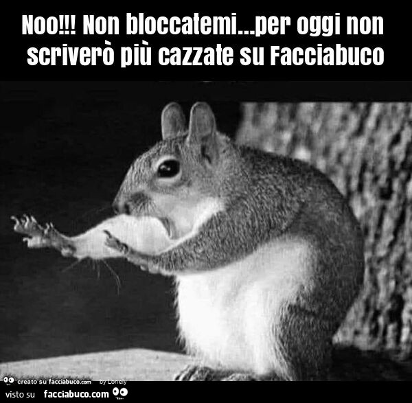 Noo! Non bloccatemi&hellip; per oggi non scriverò più cazzate su facciabuco