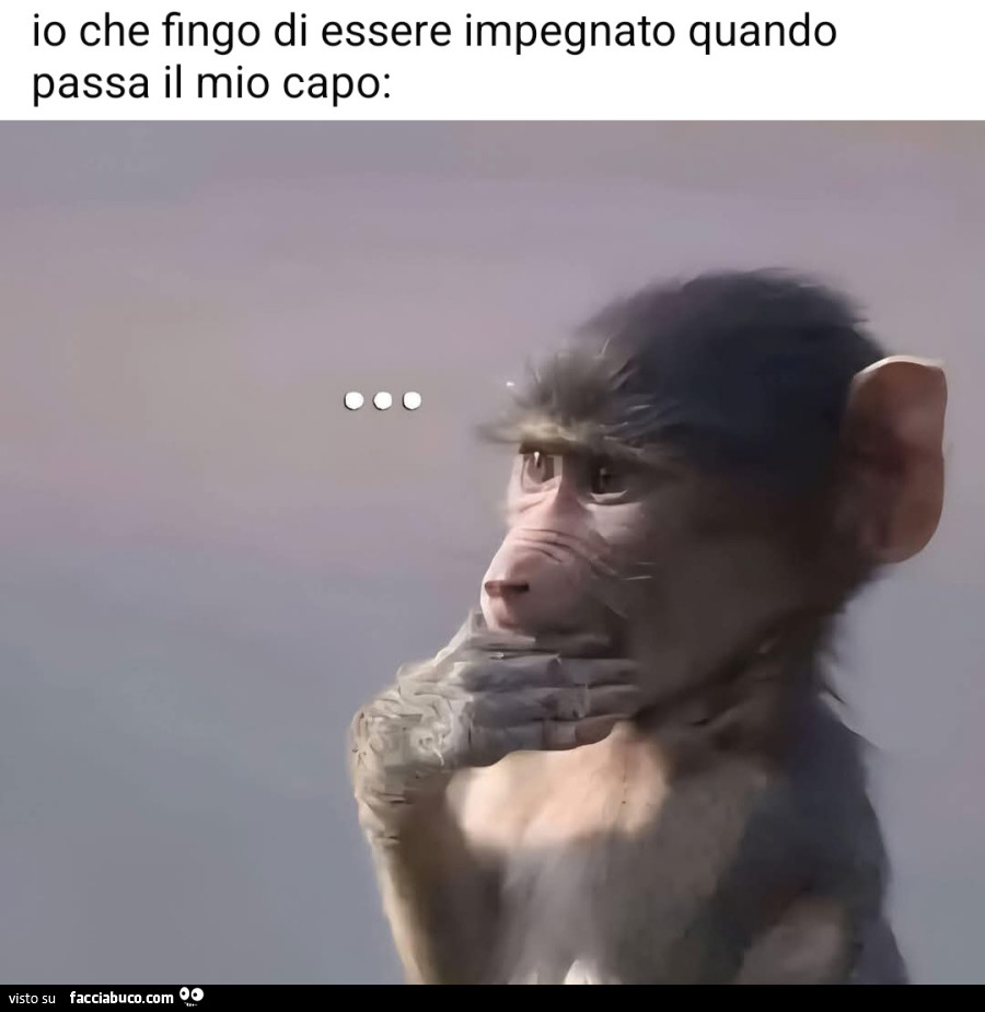 Io che fingo di essere impegnato quando passa il mio capo scimmietta