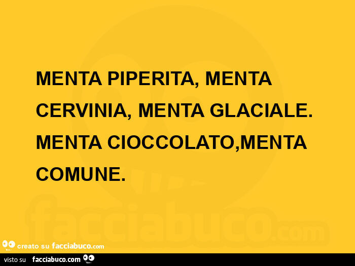 MENTA PIPERITA, MENTA CERVINIA, MENTA GLACIALE. MENTA CIOCCOLATO, MENTA COMUNE