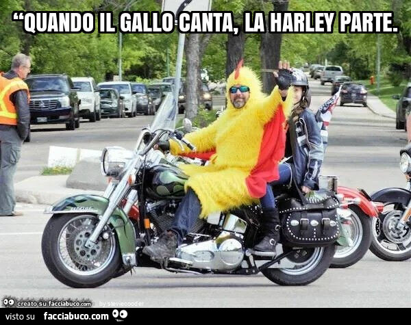 “quando il gallo canta, la harley parte