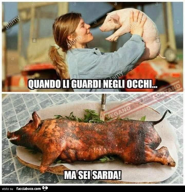 Vaccata
