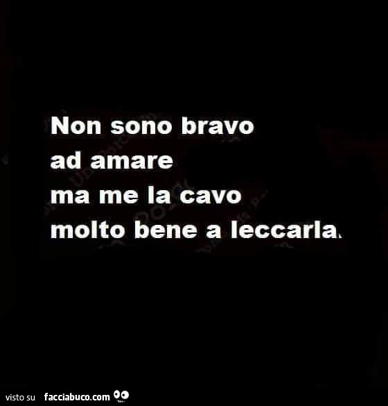 Non sono bravo ad amare ma me la cavo molto bene a leccarla