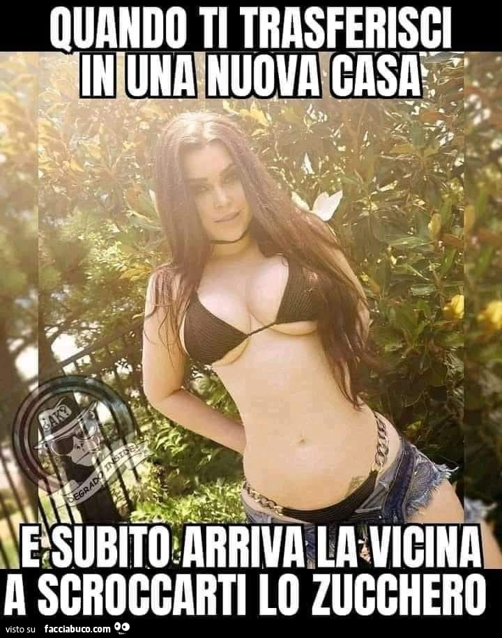 Vaccata