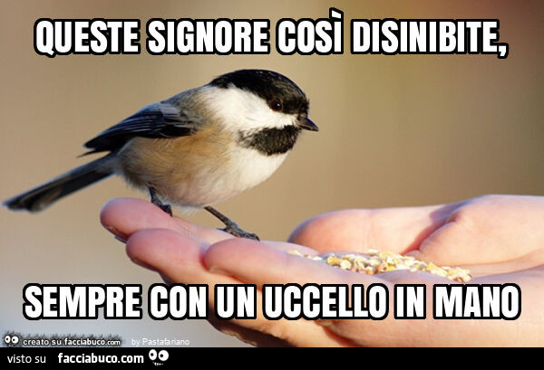Queste signore così disinibite, sempre con un uccello in mano