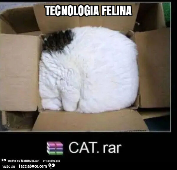 Tecnologia felina