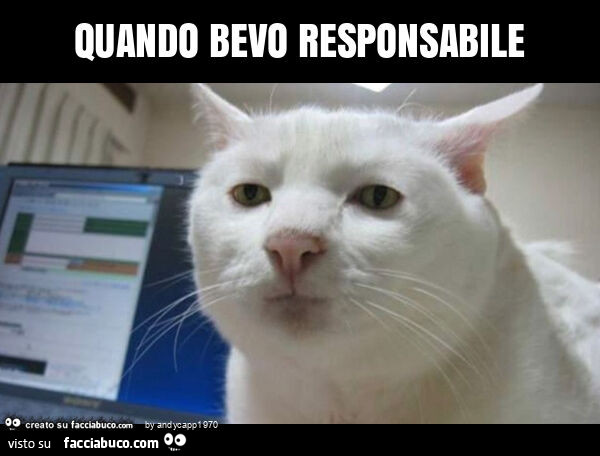 Quando bevo responsabile