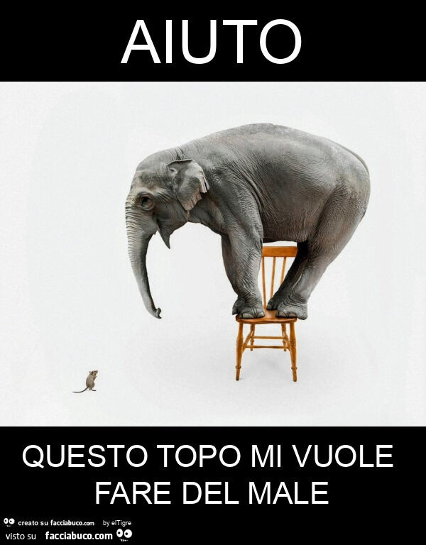 Aiuto questo topo mi vuole fare del male