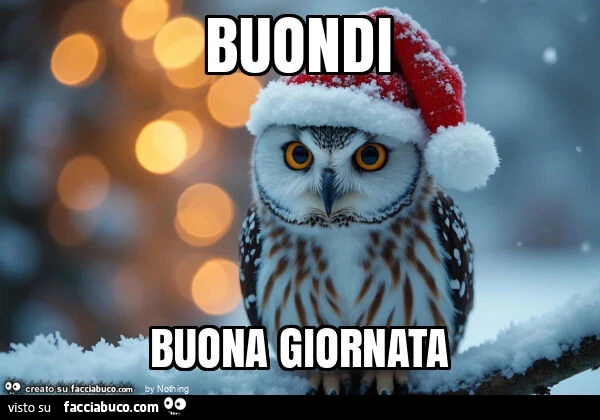 Buondi buona giornata