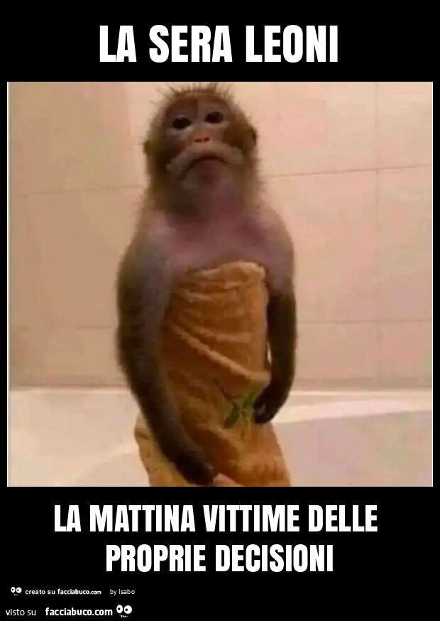 La sera leoni la mattina vittime delle proprie decisioni