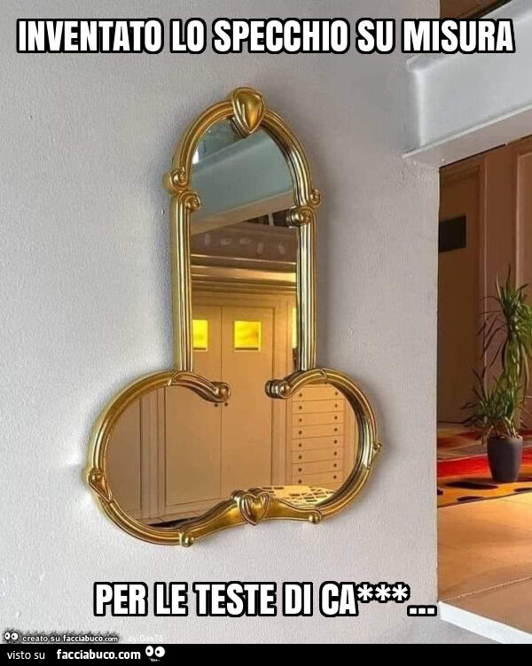 Inventato lo specchio su misura per le teste di ca***