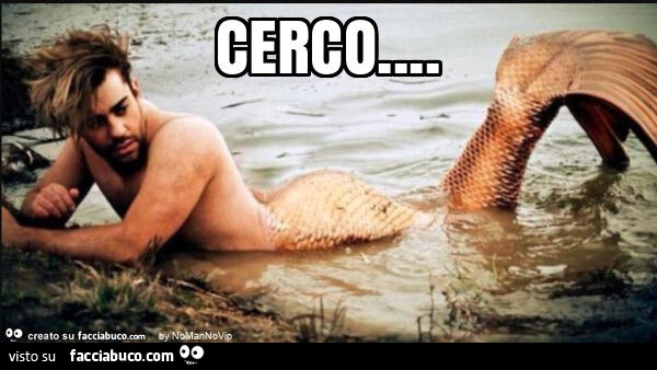 Cerco