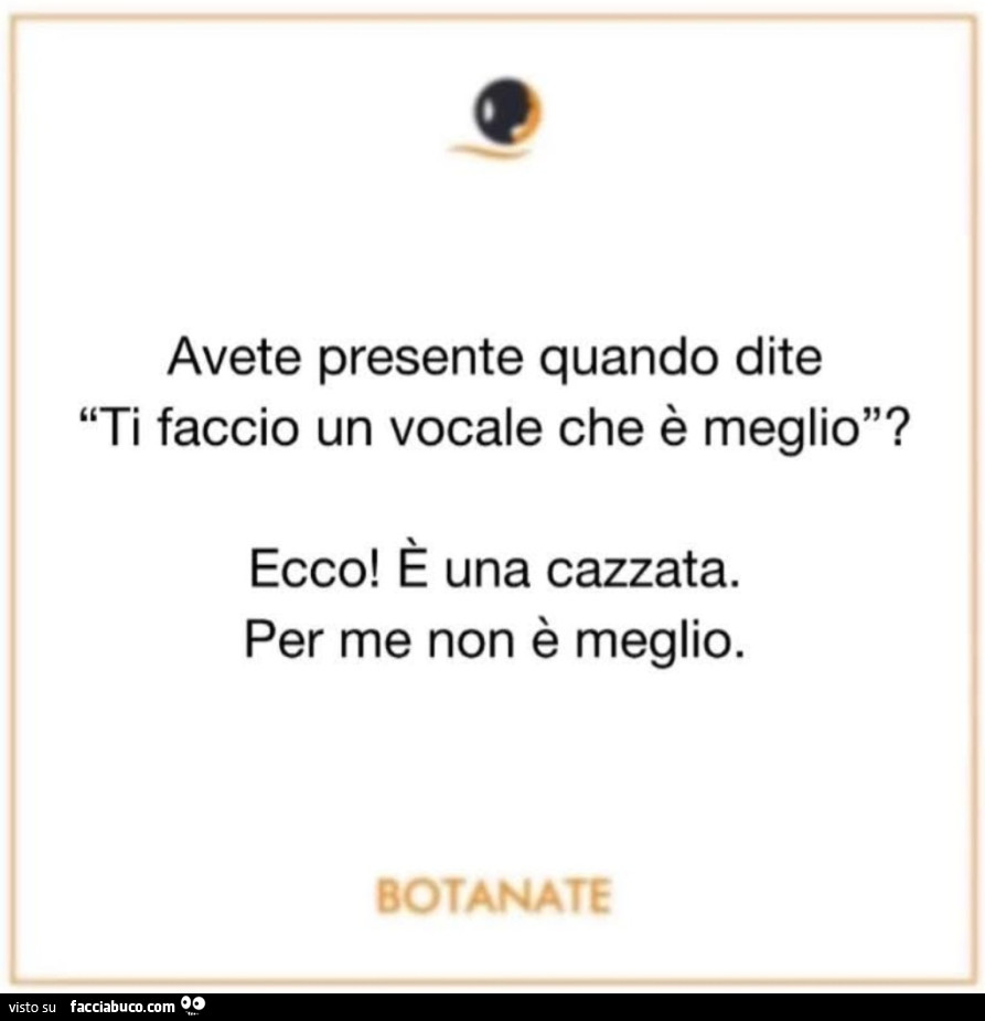 Avete presente quando dite ti faccio un vocale che è meglio ecco è una cazzata per me non è meglio