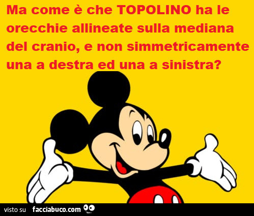 Ma come è che topolino ha le orecchie allineate sulla mediana del cranio, e non simmetricamente una a destra una a sinistra?
