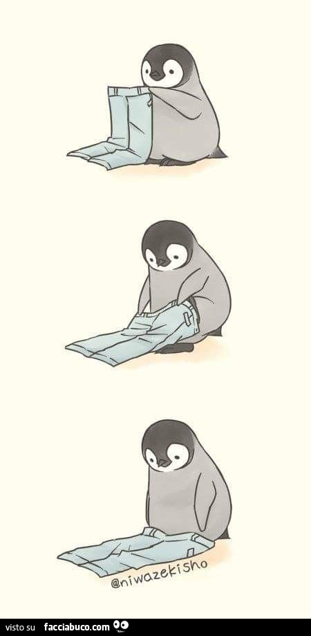 Pinguino coi pantaloni